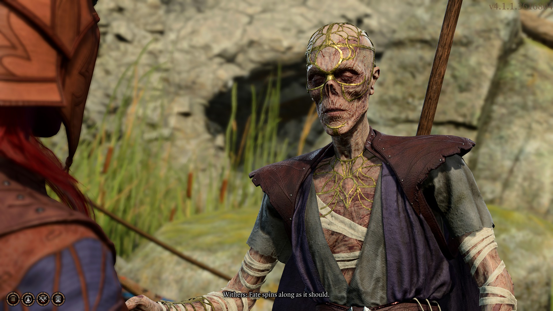 Baldur's Gate 3 Withers